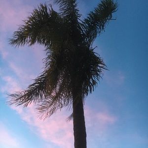 Meet your Posher, Lacey